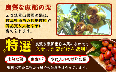 冷凍むき栗「日本栗」 計1kg（250g×4P）/ 栗 くり 日本栗 むき栗 岐阜 恵那 / 恵那市 / えな笠置山栗園 [AUAV003]