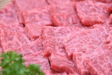 飛騨牛 A5 等級 焼肉 用 400g（ モモ肉 ） | 肉のかた山 やきにく M12S85
