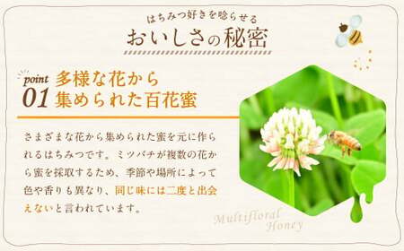 【12ヶ月定期便】国産 無添加 MINOKAMO HONEY はちみつ 1本（300g）×12回 ｜ 藤井養蜂 蜂蜜 ハニー 非加熱 純粋 百花蜜 定期便 岐阜