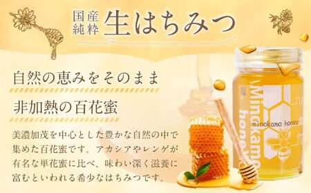 国産 無添加 MINOKAMO HONEY はちみつ 3本（500g×3） 合計1500g｜ 藤井養蜂 蜂蜜 ハニー 非加熱 純粋 百花蜜 保存食 岐阜