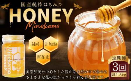 【3ヶ月定期便】国産 無添加 MINOKAMO HONEY はちみつ 1本（500g）×3回 ｜ 藤井養蜂 蜂蜜 ハニー 非加熱 純粋 百花蜜 定期便 岐阜