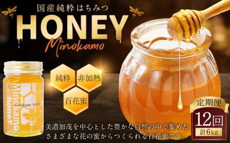 【12ヶ月定期便】国産 無添加 MINOKAMO HONEY はちみつ 1本(500g)×12回 | 藤井養蜂 蜂蜜 ハニー 純粋 非加熱 百花蜜 定期便 岐阜