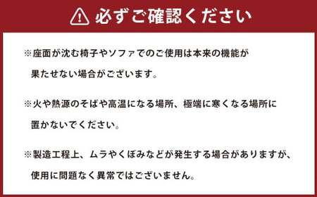 ココザ 【 ベージュ】 座りでカラダを変える | シートクッション 雑貨 ヘルスケア クッション 軽量 デスクワーク 骨盤 屋外 アウトドア 岐阜 岐阜県 美濃加茂市