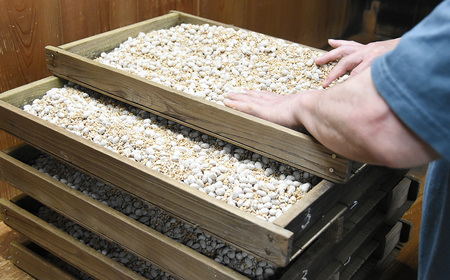 蔵元直送 手絞り 熟成 生醤油 2本（1L×2本） | 醤油 しょうゆ 生醤油 手造り 無添加 天然醸造 国産