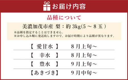 《先行予約》山之上の梨 （品種はおまかせ） 約 3kg （5～8玉） 梨 なし 果物 フルーツ 【2025年8月上旬-10月上旬 発送予定】