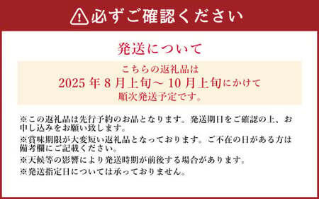 《先行予約》山之上の梨 （品種はおまかせ） 約 3kg （5～8玉） 梨 なし 果物 フルーツ 【2025年8月上旬-10月上旬 発送予定】