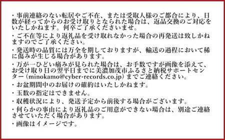 《先行予約》 「山之上果実農業協同組合」 山之上の梨 豊水 1箱 約 2.5kg 5-8玉 梨 なし ナシ 【2025年9月上旬-9月下旬 発送予定】