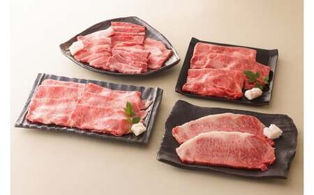 飛騨牛 三昧セット （サーロイン 肩ロース バラ ロース）計1.58kg  | お肉 肉 牛肉 ブランド牛 ステーキ すき焼き 焼肉 しゃぶしゃぶ