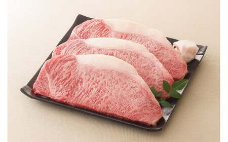 飛騨牛 サーロインステーキ サーロイン 肉 ×3枚（計540g） | お肉 肉 牛肉 ブランド牛 和牛 黒毛和牛