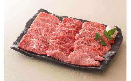 飛騨牛 モモ 焼肉 用 500g | お肉 肉 牛肉 ブランド牛 和牛 黒毛和牛