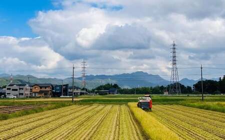 <先行予約>令和7年産 岐阜のお米 ハツシモ 初霜 5kg 米 お米 白米 岐阜県 美濃加茂市【2025年11月上旬~2026年5月下旬 発送予定】