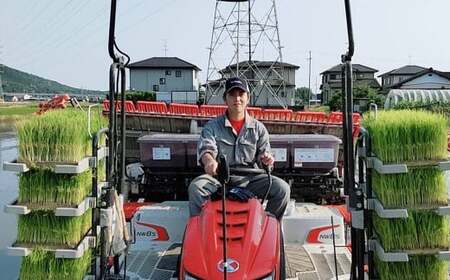 <先行予約>令和7年産 岐阜のお米 ハツシモ 初霜 5kg 米 お米 白米 岐阜県 美濃加茂市【2025年11月上旬~2026年5月下旬 発送予定】