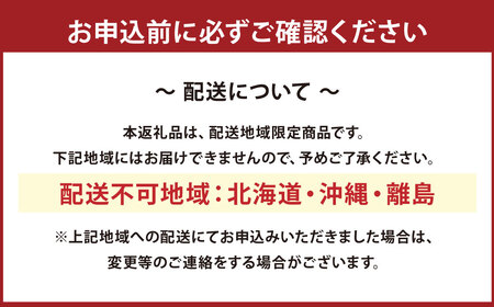 日本橋OIKAWA監修「春望」三段重 （ 約2名様用 ・ 38品目 ・ 和風  おせち ） | 合同会社コネクトライン お節 おせち料理 三段 おせち料理2026 おせち2026 冷凍