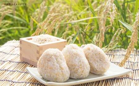 【ふるなびWEEK対象】 【令和7年度産】 ほたる米 コシヒカリ 玄米 15kg お米 米 コメ こめ 単一原料米 ご飯 ごはん お弁当 おにぎり 岐阜県産 国産 岐阜県 美濃加茂市 送料無料 【2025年10月下旬～2026年1月上旬 発送予定】 FN-Limited-PR