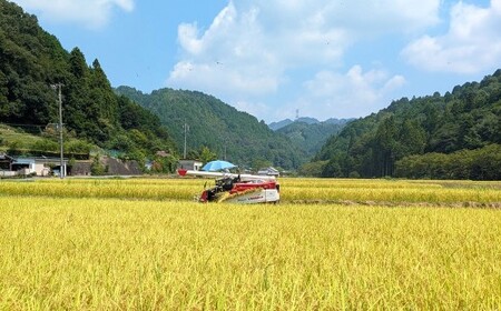 【ふるなびWEEK対象】 【令和7年度産】 ほたる米 コシヒカリ 玄米 15kg お米 米 コメ こめ 単一原料米 ご飯 ごはん お弁当 おにぎり 岐阜県産 国産 岐阜県 美濃加茂市 送料無料 【2025年10月下旬～2026年1月上旬 発送予定】 FN-Limited-PR
