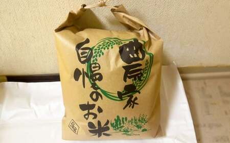 ＜先行予約＞令和7年産 岐阜のお米 ハツシモ 初霜 5kg お米 米 コメ こめ 白米 精米 白ご飯 ご飯 岐阜県 美濃加茂市 【2025年11月下旬～2026年3月下旬 発送予定】