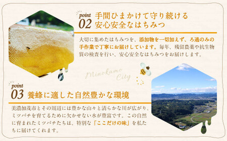 【2026年3月発送予定】 国産 無添加 MINOKAMO HONEY はちみつ 3本(300g×3)合計 900g | 藤井養蜂 蜂蜜 ハニー 非加熱 純粋 百花蜜 たれにくい 岐阜