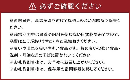 令和7年度産 自然栽培米 ササニシキ 玄米 5kg 農薬 化学肥料 不使用 お米 米 コメ こめ ご飯【2025年10月下旬～2026年4月下旬発送予定】