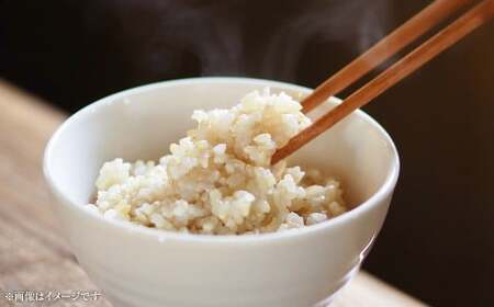 令和7年度産 自然栽培米 ササニシキ 玄米 5kg 農薬 化学肥料 不使用 お