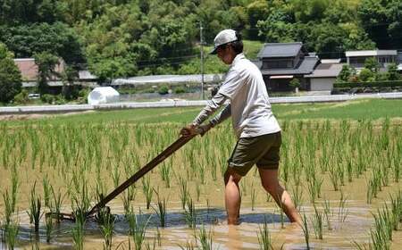令和7年度産 自然栽培米 ササニシキ 玄米 5kg 農薬 化学肥料 不使用 お米 米 コメ こめ ご飯【2025年10月下旬～2026年4月下旬発送予定】