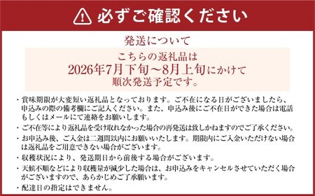 《先行予約》｢丸坂山田農園｣山之上梨 長寿 1箱 （ 約2.5kg ／ 5～8玉 ） 【2026年7月下旬～8月上旬 発送予定】
