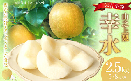 《先行予約》｢丸坂山田農園｣ 山之上梨 幸水 1箱 （ 約2.5kg ／ 5～8玉 ） 【2026年8月上旬～8月下旬 発送予定】