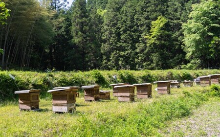 あさひのはちみつ 200g 3種 セット