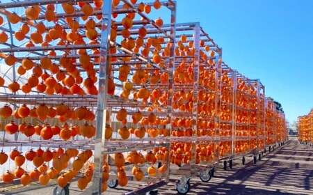 【数量限定】 〈 堂上蜂屋柿 〉 干し柿 「 誉 」 3個入 かき カキ 柿 ほしがき ほし柿 くだもの 果物 果実 フルーツ 贈り物 ギフト 岐阜県産 国産 岐阜県 美濃加茂市 送料無料【2026年1月下旬~2月下旬発送予定】