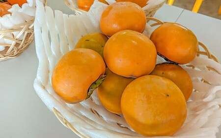 【先行予約】 《訳あり》 山之上産 富有柿 家庭用 3kg（10個～18個）| 果物 くだもの フルーツ 柿 かき 旬 【2026年11月発送予定】