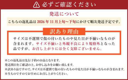 【先行予約】 《訳あり》 山之上産 富有柿 家庭用 3kg（10個～18個）| 果物 くだもの フルーツ 柿 かき 旬 【2026年11月発送予定】