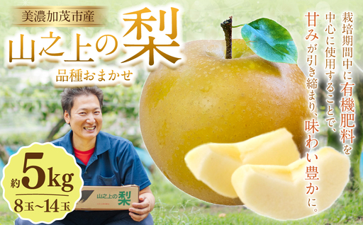 岐阜県(美濃加茂市)】《先行予約》 山之上の梨 （ 品種はおまかせ