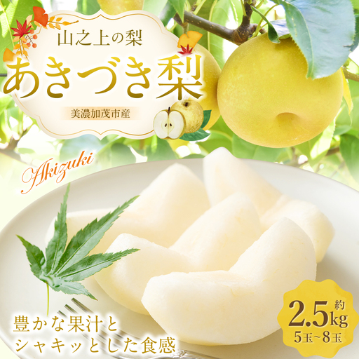《先行予約》 「山之上果実農業協同組合」 山之上の梨 あきづき梨 1箱  約 2.5kg （ 5-8玉 ） 【2026年9月上旬-10月上旬 発送予定】