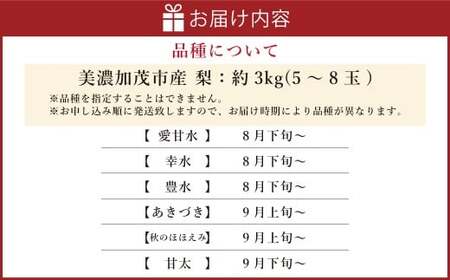《先行予約》 山之上の梨 ( 品種はおまかせ ) 約3kg( 5~8玉 ) 【2026年8月下旬~10月上旬発送予定】