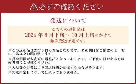 《先行予約》 山之上の梨 ( 品種はおまかせ ) 約3kg( 5~8玉 ) 【2026年8月下旬~10月上旬発送予定】