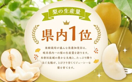 《先行予約》 山之上の梨 ( 品種はおまかせ ) 約3kg( 5~8玉 ) 【2026年8月下旬~10月上旬発送予定】