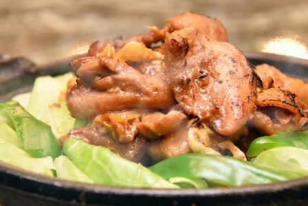 鶏ちゃん 「 鶏王 ･ 王鶏 ･ 〇鶏 ･ 天下とり 」 セット （ 鶏王 ･ 王鶏  各2個、 〇鶏 ･ 天下とり 各3個） | 美濃守鶏介 計10袋 味付け 国産 鶏肉 冷凍 食べ比べ M28S08