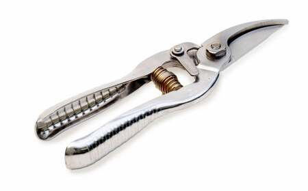 福善刃物工業 果樹剪定 鋏 KS180S | ステンレス ハサミ 剪定ばさみ 花 庭 園芸 ガーデニング M14S69