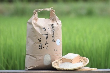 【お米マイスターが提供 冷めても美味しい】 令和4年米 美濃加茂産 ハツシモ ( 10kg ) | 春見ライス 米 お米 コメ M10S75
