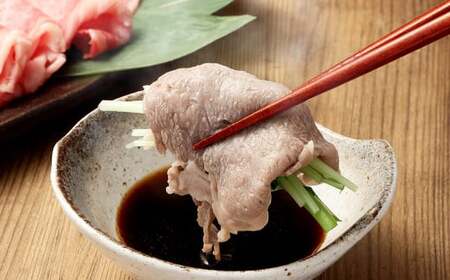 飛騨牛 A5 等級 しゃぶしゃぶ 用（ ロース 400g）| 肉のかた山  牛肉 牛 肉 お肉 和牛 黒毛和牛 国産 しゃぶしゃぶ M22S37