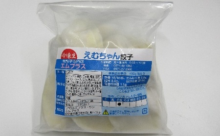 冷凍 餃子５袋（えむちゃん５袋100個） ぎょうざ | NPO法人プラス・ワン エムプラス M10S99