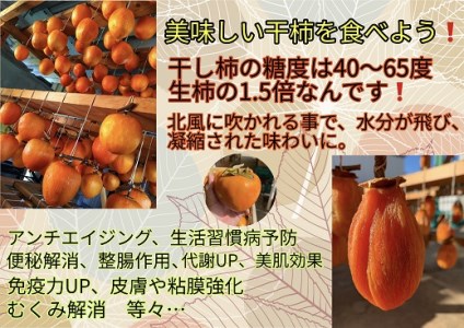とくがわ家のおやつ ( 堂上蜂屋柿 使用 ) ５個入り | 川登屋  堂上蜂屋柿 蜂屋柿 柿 和菓子 縁起物 ギフト M44S21