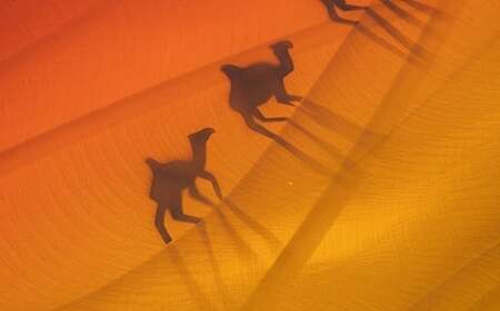 スピンアート 砂漠 | 美光技研 アート 作品 芸術 ステンレス