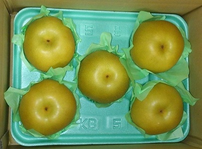 【先行受付】福果園の樹上完熟梨 農家直送品種おまかせ（3kg程度） | 福果園 M10S127
