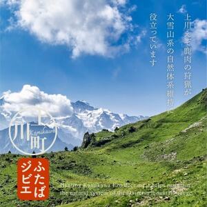 ハンターが営む鹿肉加工工場の「上川えぞ鹿肉 ロースステーキ」500g【4000】【配送不可地域：離島】【1566577】