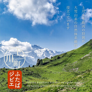 【4002】ハンターが営む鹿肉加工工場の上川えぞ鹿肉 希少部位入りプレミアムセット【配送不可地域：離島】【1566579】