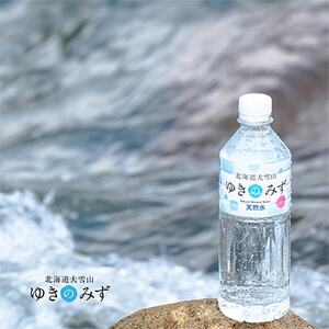【毎月定期便】北海道大雪山 ゆきのみず 550ml×24本入り【619】全3回【4065586】