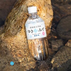 【毎月定期便】北海道大雪山 ゆきのみず 550ml×24本入り【619】全3回【4065586】