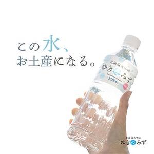 【毎月定期便】北海道大雪山　ゆきのみず　550ml×24本入り【621】全9回【4065588】