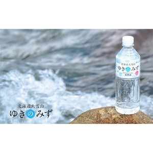 北海道大雪山ゆきのみず（550ml×24本入り）　2箱|  水 水