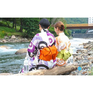 北海道大雪山ゆきのみず（550ml×24本入り）　2箱|  水 水